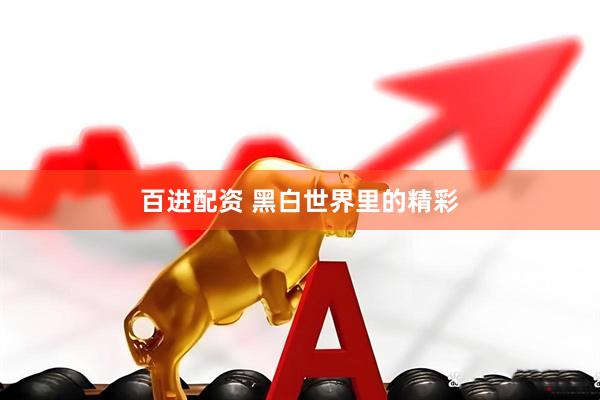百进配资 黑白世界里的精彩