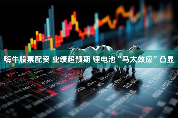 嗨牛股票配资 业绩超预期 锂电池“马太效应”凸显