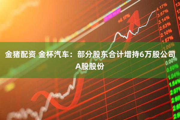 金猪配资 金杯汽车：部分股东合计增持6万股公司A股股份