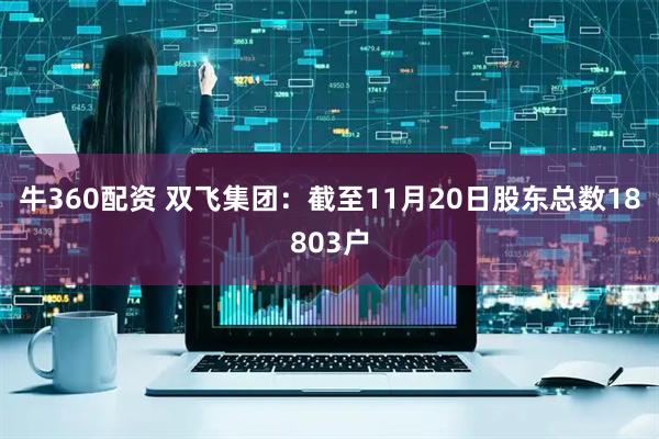 牛360配资 双飞集团：截至11月20日股东总数18803户