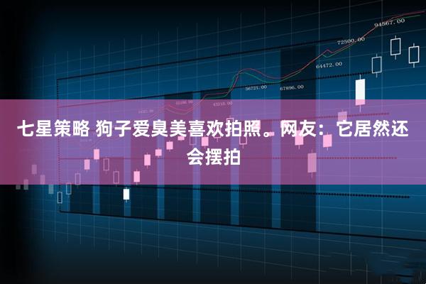 七星策略 狗子爱臭美喜欢拍照。网友：它居然还会摆拍
