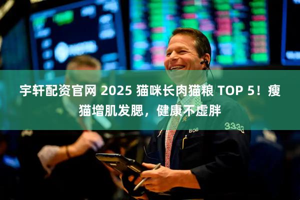 宇轩配资官网 2025 猫咪长肉猫粮 TOP 5！瘦猫增肌发腮，健康不虚胖